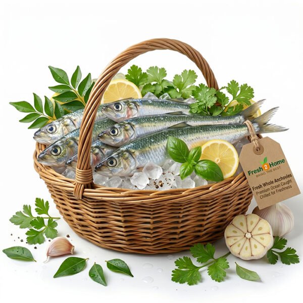 Anchovy
