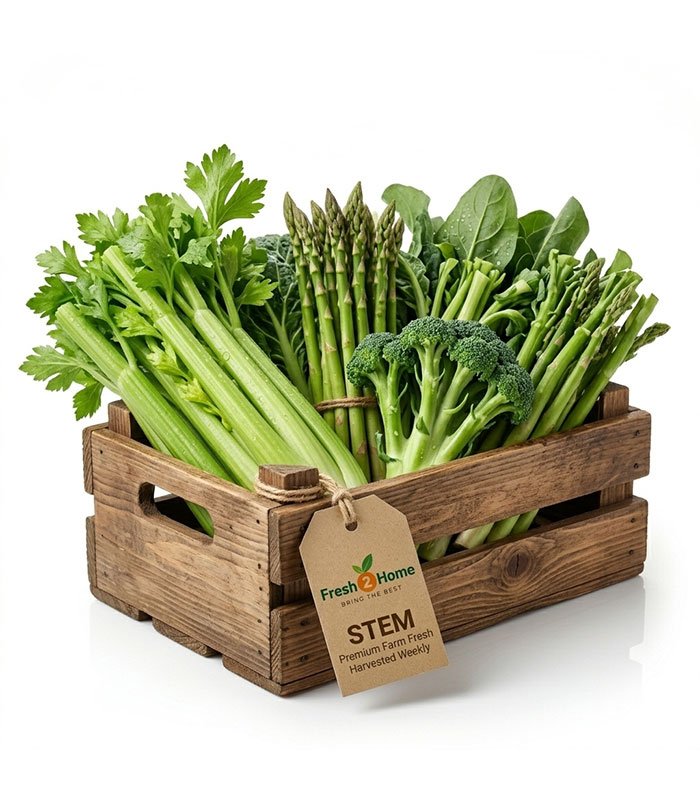 STEM STEM - Image 1